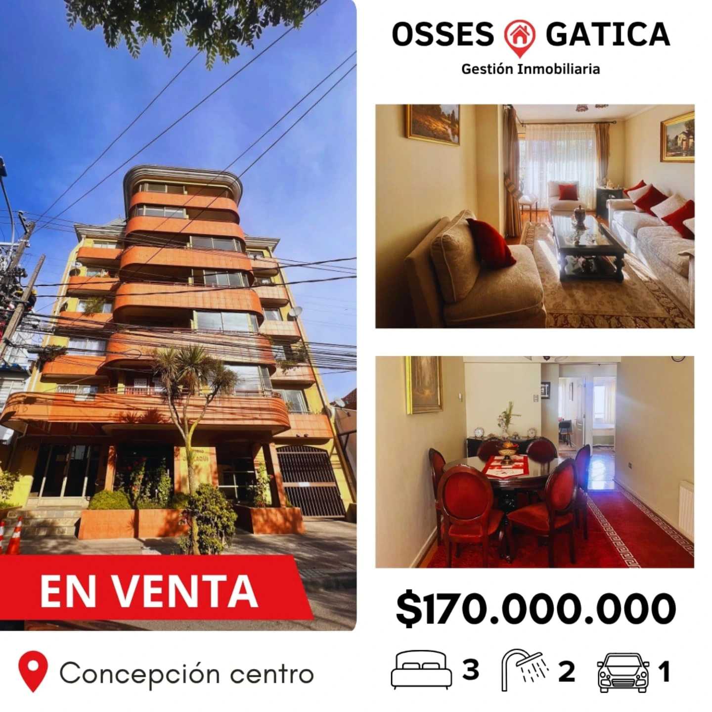 ossesgatica.gi_1748537165_3643316265402636405_54801911632-1